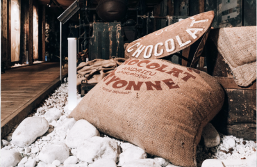 🍫 Voyage Gourmand : Visite Guidée & Dégustation à l’Atelier du Chocolat