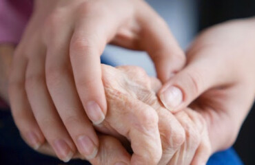 🌿 Ateliers Sensoriels & Relaxation : Une Parentheses de Douceur au Parc d’Hiver